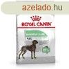 Takarmny Royal Canin Felntt madarak 3 Kg MOST 23907 HELYET