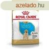 Takarmny Royal Canin Klyk/Fiatal 3 Kg MOST 24502 HELYETT 