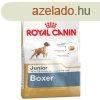 Takarmny Royal Canin Boxer Junior 12 kg Klyk/Fiatal madar