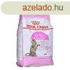 Macska eledel Royal Canin Kitten Sterilised madarak 3,5 kg M