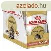 Macska eledel Royal Canin Maine Coon Adult 12 x 85 g MOST 20