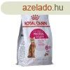 Macska eledel Royal Canin Protein Exigent Felntt madarak 40