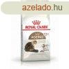 Macska eledel Royal Canin idsebb 2 Kg Csirke MOST 29019 HEL