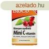 BIOCO C-VITAMIN MINI CSALDI CSOM. 120DB