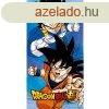 Dragon Ball Super frdleped, strand trlkz 70x140cm (Fa