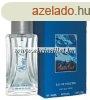 Homme Collection Winter Cool Men EDT 100ml / Davidoff Cool W