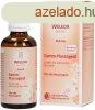 Weleda gtmasszroz olaj 50 ml