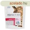 PERFECT FIT szraz Adult Lazac 750gr