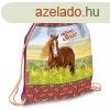 Ars Una tornazsk - My Sweet Horse