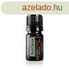 Black Spruce - Fekete Lucfeny illolaj 5ml - doTERRA