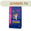 Eukanuba Puppy Medium kutyatp 18kg