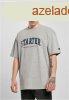 Starter College Tee heathergrey