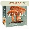 Mycelia trsasjtk