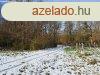 Erd kzelben -elad MEZGAZDASGI TERLET BALATONCSICSN -