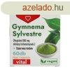 DR.HERZ GYMNEMA SYLVESTRE 160MG 60DB