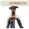 Tripod K&F Concept D255C4+BH-28L + Quick Release Plate k