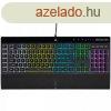 Corsair K55 RGB Pro Gaming keyboard Black US