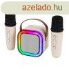 Blow Karaoke RGB Bluetooth hangszr 2db mikrofonnal, 10W