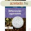 DIFFERENCILEGYENLETEK