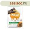 Iams Cat Adult Lamb macskatp 10kg