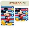 Disney Mickey kztrl, arctrl, trlkz szett