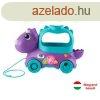 Fisher-Price labdz dinpajti