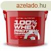 Scitec Nutrition 100% Whey Protein Professional 5000g