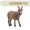 Schleich Ibex