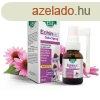 Echinacea Ferttlent Nyugtat Torokspray 20ml