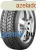 Nankang Snow Viva SV-1 ( 205/50 R17 93T XL, Nordic compound 