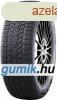 Nankang Winter Activa 4 SUV ( 315/35 R21 111V XL )