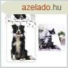 Kutys Border Collie gynemhuzat 140200cm JFK037409