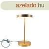 Modern asztali lmpa bronz LED-del - Disco