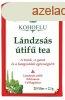 Dr.chen kohoflu lndzss tif teakeverk 20x2,1g