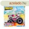 Hot wheels Monster Trucks aut