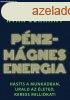 Pnzmgnes energia