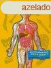 The Human Body Book - With 4 Acetate Body Charts - Bargain P