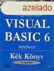 Programozs Visual Basic 6 nyelven (kk knyv-az alapoktl) 