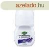 Bione izzadsgtl dezodor roll 24h frfiaknak kk 80 ml