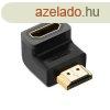 UGREEN HD112 HDMI-HDMI adapter Black