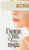 Fensg - Danielle Steel