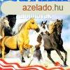 Amerikai lomlovak (PonyClub) - 