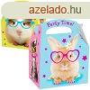 Hzillatok Hello Pets ajndkdoboz, party box