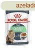 Royal Canin Digest Care 85 g