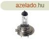 Lampa, Izz H7, 100W 12V