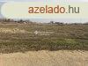 Elad ipari, Algy s Szeged kztt