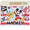 Disney Mickey Oh Boy kztrl, arctrl, trlkz 40x30 cm