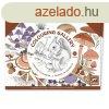 Mvszeti mhely - Termszetes sznezk mappa - Naturalist
