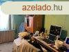 Elad 60 nm-es Csaldi hz Pcs Patacs 