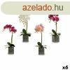 Dekoratv virg Ibergarden A18124-50-2 Orchidea 14 x 51 x 18